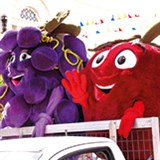 Apple And Grape Festival