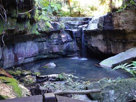 Carnarvon Gorge