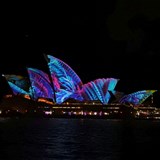 Vivid Lights Spectacular Dinner Cruise