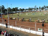 Gatton Show