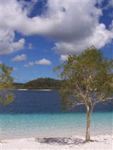 Kingfisher Bay Resort