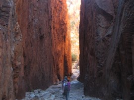 Tracing The Telegraph - Red Centre To Top End