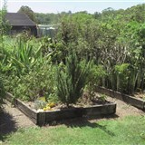 Shipards Herb Farm And The Green Shed