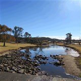 Christmas in July at Stanthorpe