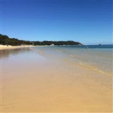Tangalooma For A Day