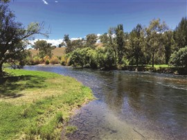 Southern Tablelands and the Tumut Region