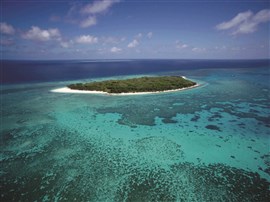 Bundy's Best And Lady Musgrave Island