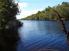 Christmas On The Cooloola Coast