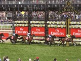 Melbourne and Surrounds incl. The Melbourne Cup