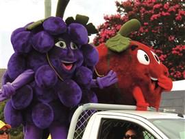 Apple And Grape Festival