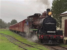 Whale Watching And Mary Valley Rattler