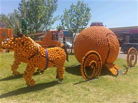 Griffith Festival And Country Gardens