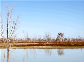 Menindee Lakes And Cameron Corner