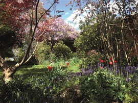 Millthorpe Garden Ramble