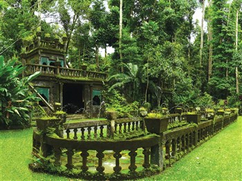 Cairns and Port Douglas Explorer