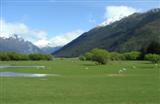 New Zealand