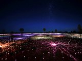 Uluru Field of Lights