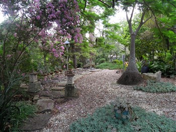 Coucals Garden
