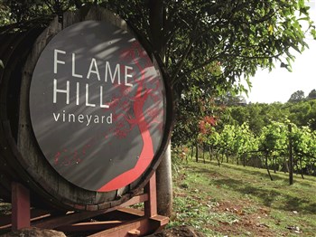 The Barn on Flaxton and Flame Hill Winery