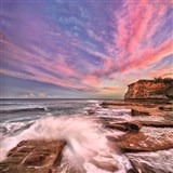 Ken Duncan Gallery with Roses