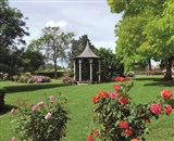 Lunch among the Roses