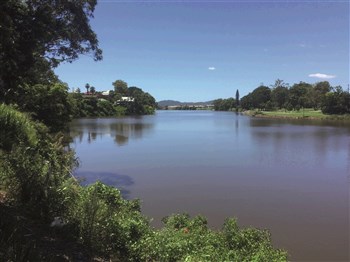 Tweed River And Rainforest Lunch Cruise
