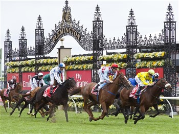 Melbourne Cup Day at Shearers Arms
