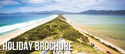 Holiday Brochure