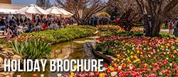 Holiday Brochure