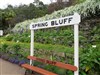 Spring Bluff Railway Station