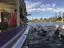 Mooloolaba Canal Cruise