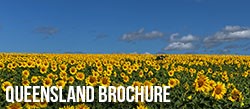 QLD Brochure