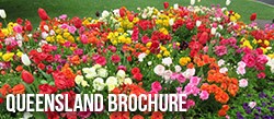 QLD Brochure