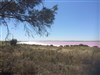 Salt Lakes with pink algae near Port Wakefield