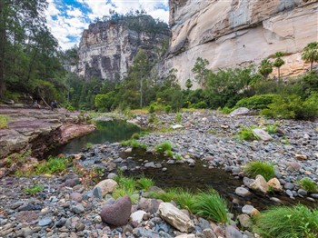 Carnarvon Gorge