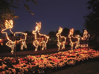 Hunter Valley Gardens And Lights Spectacular