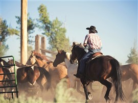 Man From Snowy River Festival