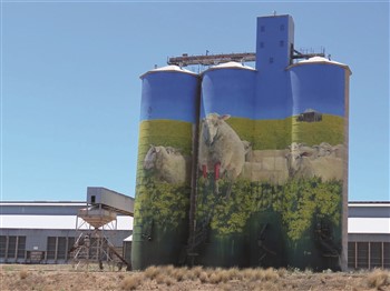 Outback Canvases - Canberra To Brisbane