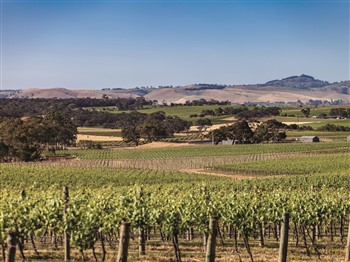 Barossa And Clare Valleys