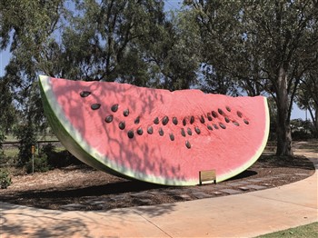Chinchilla Melon Festival