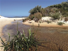 Wilsons Promontory