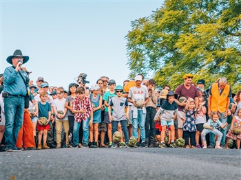Goomeri Pumpkin Festival
