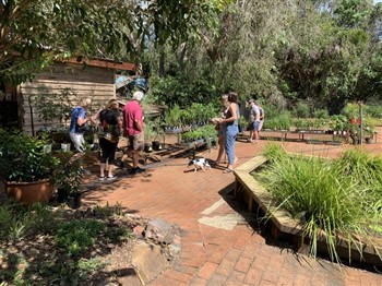 Sunshine Coast Nurseries