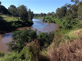 Bremer River Junction Cruise