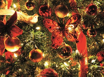 Christmas in July at Shearers Arms Tavern