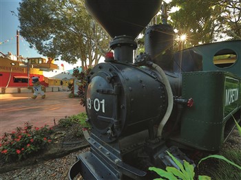 Ginger Factory and Nutworks