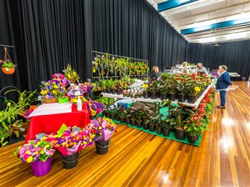 Laidley Spring Festival And Craft & Quilt Expo