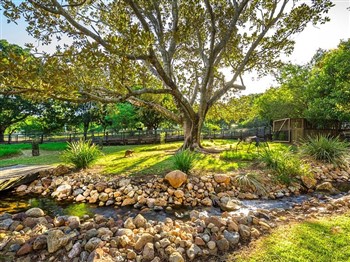 Ipswich Nature Centre and Coominya