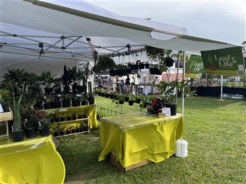 Ipswich Plant and Lifestyle Fair