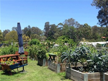 Botanical Bazaar Festival